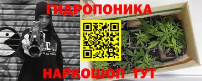 MESCALINE Кингисепп