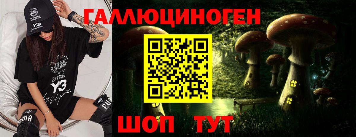 Псилоцибиновые грибы MAGIC MUSHROOMS  Вход с VPN  Котовск  Галлюциногенные грибы Magic Shrooms 